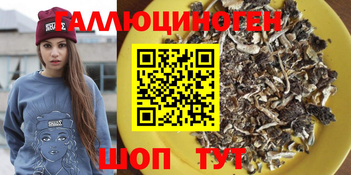 Псилоцибиновые грибы Psilocybe Ишимбай