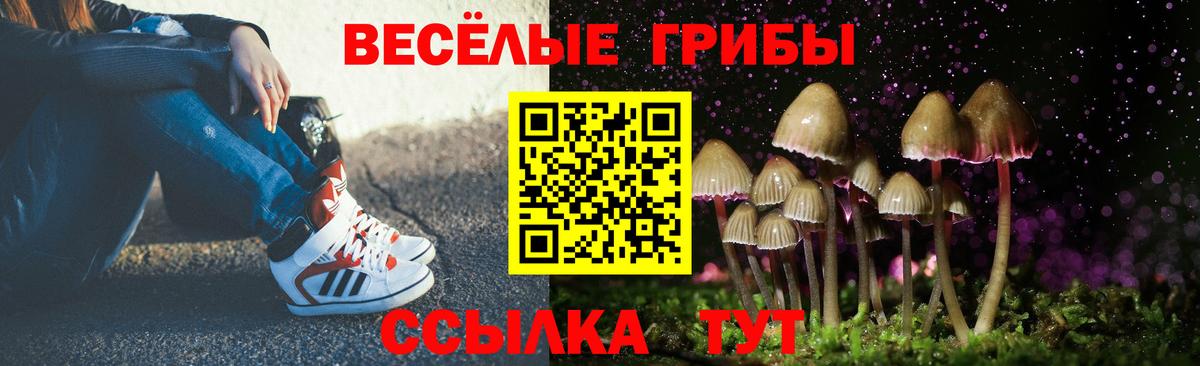 Галлюциногенные грибы прущие грибы  Вход с VPN  Галлюциногенные грибы мухоморы  сколько стоит  Ишимбай 